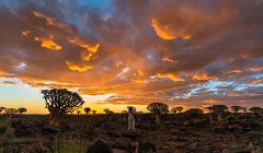 Africa