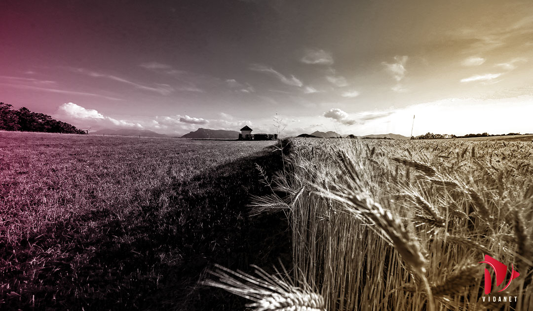 Agriculture